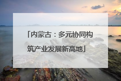 内蒙古：多元协同构筑产业发展新高地